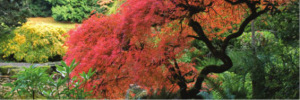 feature20141010_gardenlist_2