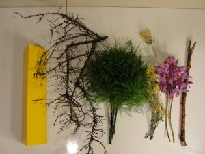 DSC07025-min