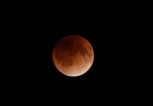 a1170_000181_m-e1443321249988-300x208