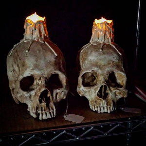 skullshoppe2