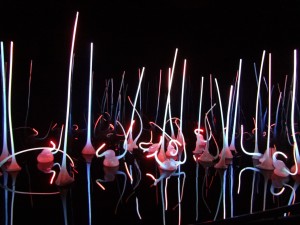 DSC01877