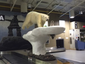 ホッキョクグマのお出迎え
