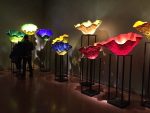 IMG_3486