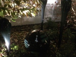 IMG_3508