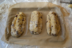 resize0101