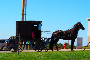 20160101_amish1-min