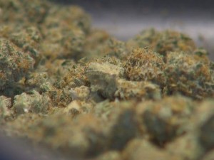 引用：KING 5