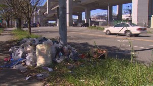 king5 news 3月29日