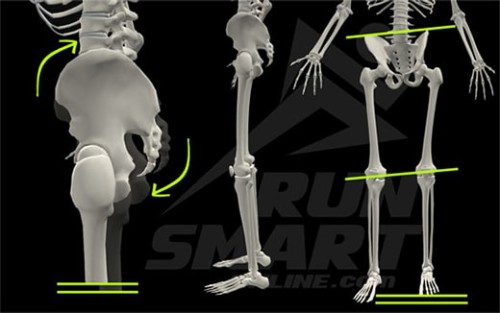 pelvicandlegs-min