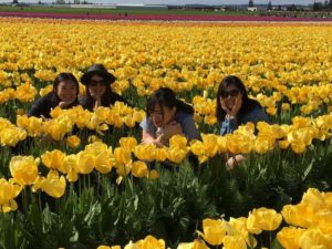Tulip fes