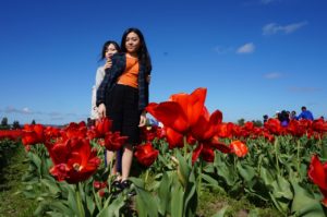 Tulip Fes 綾乃