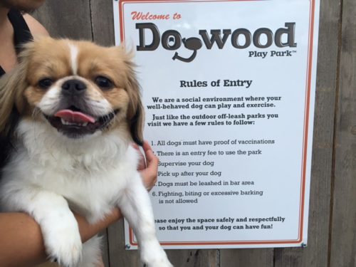Dogwood Play Park Rules of Entry