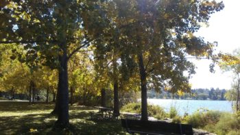 Greenlake-3