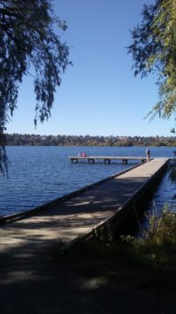 Greenlake-2