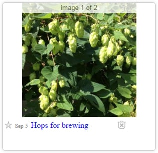 hop-min