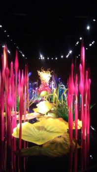 chihuly