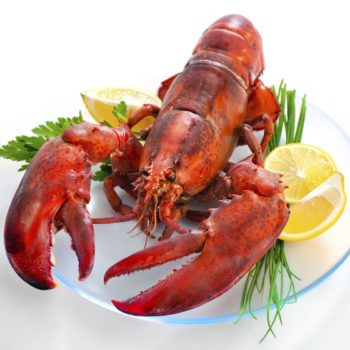 lobsterimages-min