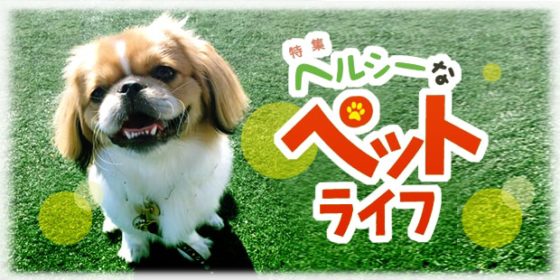 ss-2016-11-min