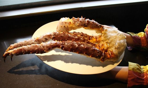 ▲タラバガニの大きな足。生冷凍のカニは生のカニと変わ らない味と鮮度が保たれる