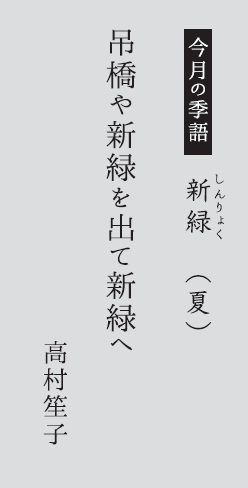 吊橋や新緑を出て新緑へ　　高村笙子