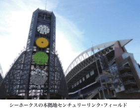 シーホークス生観戦にはお金と辛抱が必要