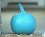 今年のハロウィンに青いカボチャが新登場