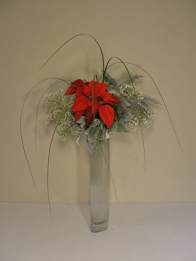 クリスマス花