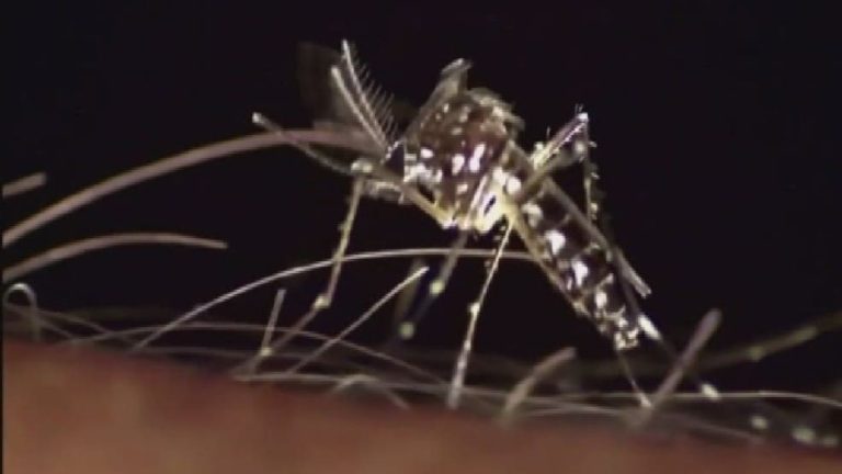 ジカ熱　ワシントン州内で２件目の感染