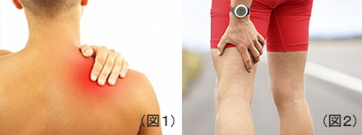 肩凝り・腰痛に効果的なストレッチ