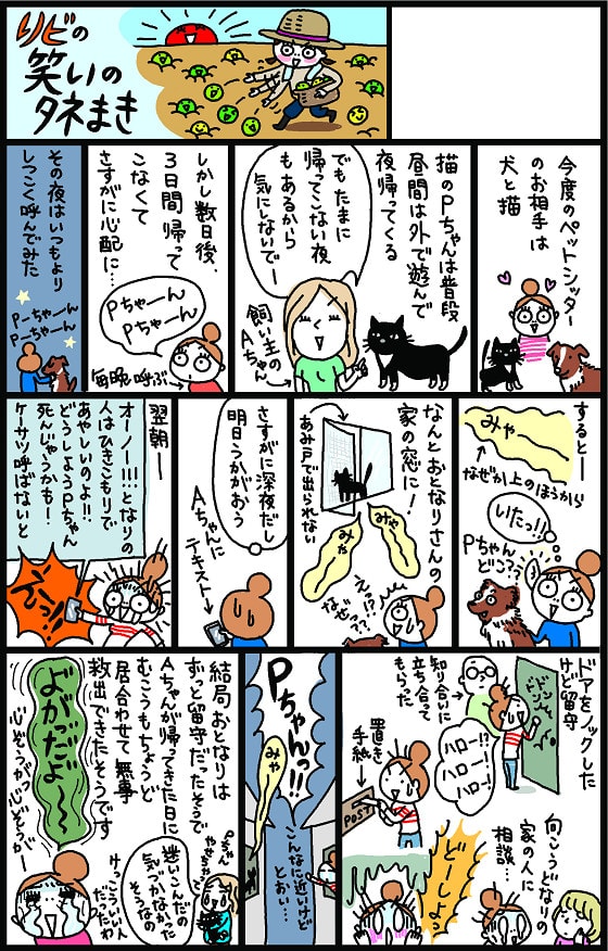 猫ちゃんが帰ってこない…