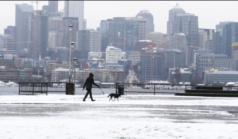 シアトル各地で雪を観測！