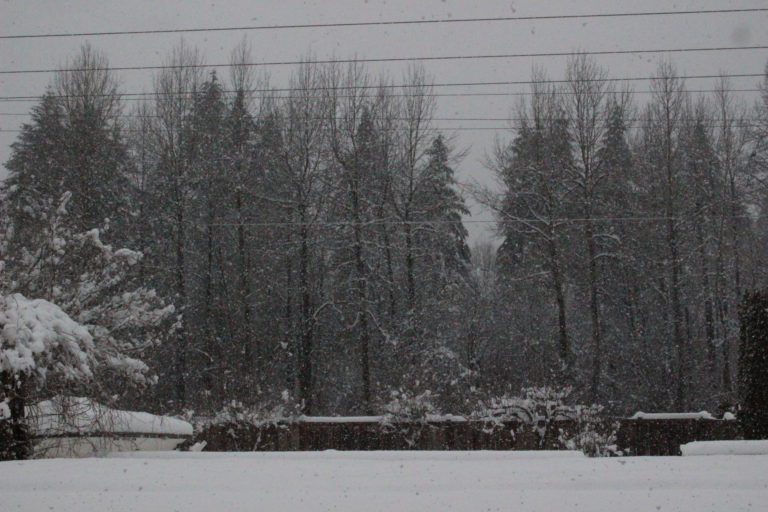 ワシントン州西部の各地で大雪
