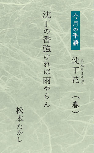 今月の季語 「沈丁花」