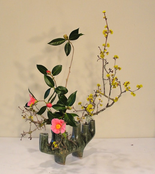 春の花木