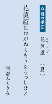 今月の季語：花茣蓙　はなござ（夏）