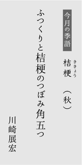 今月の季語：桔梗　ききょう（秋）