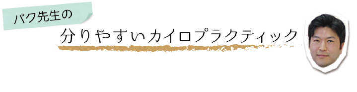 体幹運動の応用
