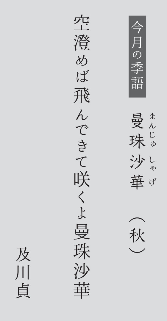 今月の季語：曼珠沙華　まんじゅしゃげ（秋）