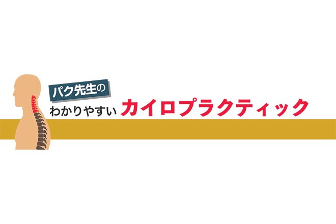 受動的なストレッチと能動的なストレッチ