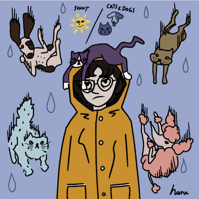 「猫と犬」が降る時 ~It’s raining cats and dogs!