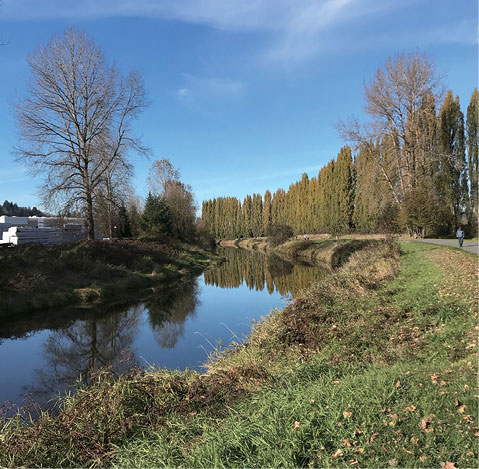 Woodinville   ウディンビル