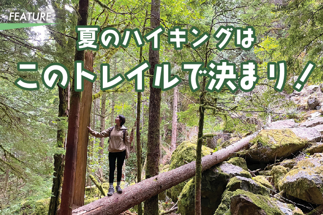 夏のハイキングはこのトレイルで決まり！