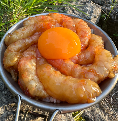 キャンプでヒーロー！ バターチキンカレー／ シアトル産ボタンエビの沖漬け丼〜シェフのおうちレシピ
