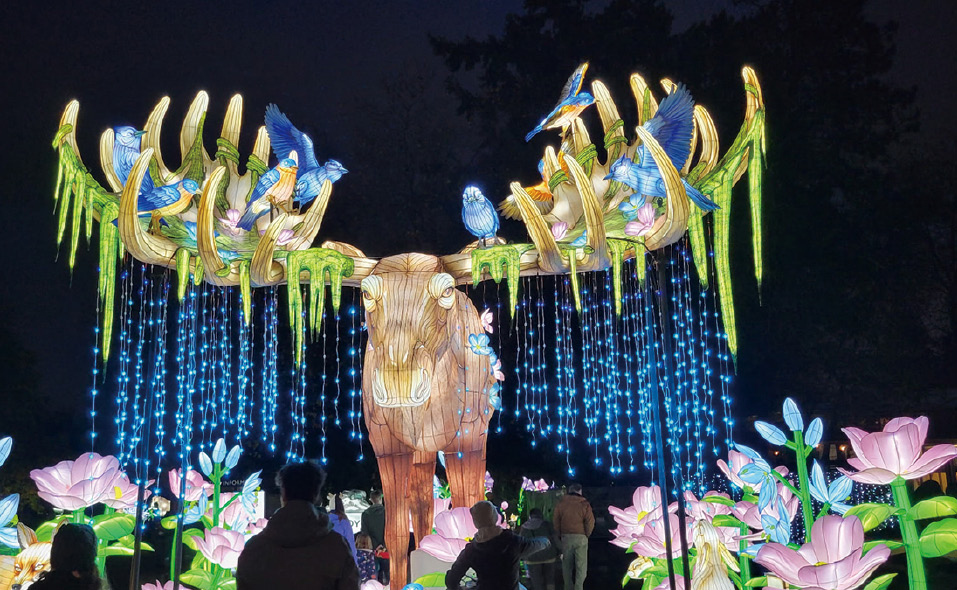 ランタンの明かりで動物園が別世界に大変身「ワイルドランタンズ」〜イベントクローズアップ