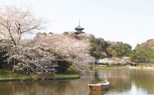 まだ見ぬ「極上の日本」を神奈川で